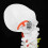 38cm Human Spine Model for Education, Removable & Flexible 7