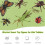 Children's 8-Piece Insect Toy Kit 16
