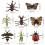 Children's 8-Piece Insect Toy Kit 2