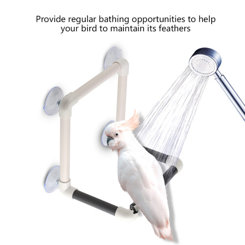 Easy Assemble Bird Perch with 4 Suction Cups 1