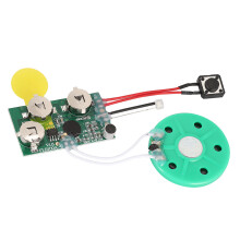 Voice Sound Chip for Greeting Cards 60 Seconds Recordable DIY Module