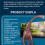 High Simulation PVC Brachiosaurus Dinosaur Model Kids Gift 27.5cm 10