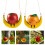 Simple Suspended Fruit Basket Farmer Sentimental Friendly-B 3