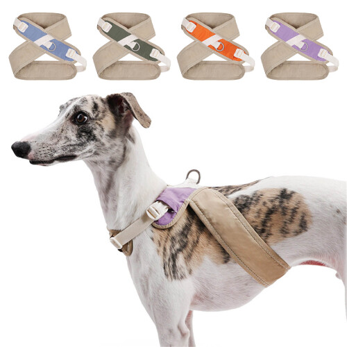 Dog Walking Harness With Comfortable Padding Nylon Easy-Blue M 2