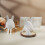 Lined Lagomorph Elastomer Render Casting Cast For And-Model B 7