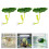 Decorative Fish Cistern Needle Shelter Not Toxic Substance 2