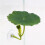 Decorative Fish Cistern Needle Shelter Not Toxic Substance 5