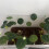 Decorative Fish Cistern Needle Shelter Not Toxic Substance 7