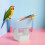 White Desktop Bird Training Stand with Potty Tray for Conures 7