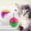 Federstimulanz für Katzen 12