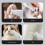 Quiet Function Creature Coat Processor For Fragile-White 7