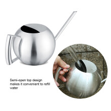 Stainless Steel Watering Can 1000mL, 29cm, Silver, Durable Gardening Tool