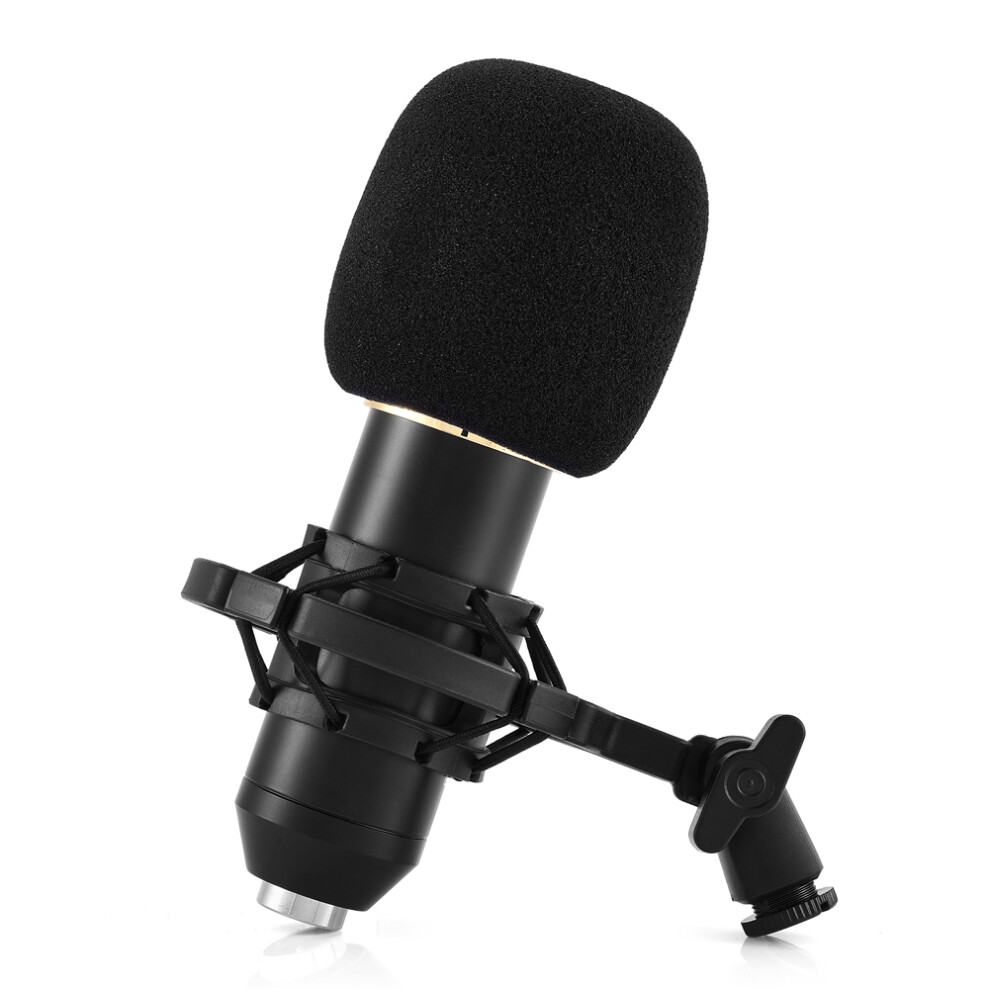 Cardioid Condenser Mic With Shock Stand 7340572887894