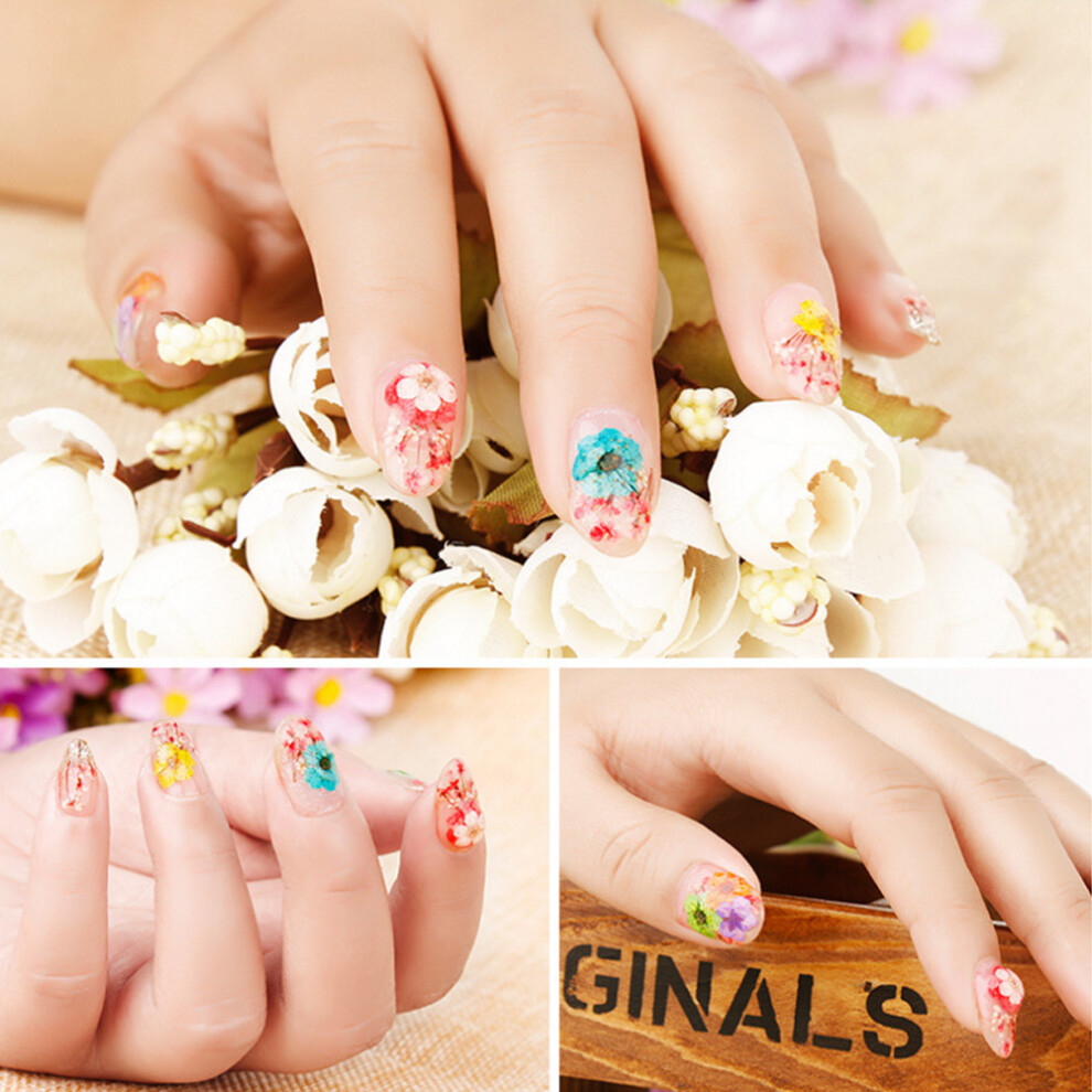 12 Color Natural Dried Flowers Set for Nails & Decor, 6x6x1cm