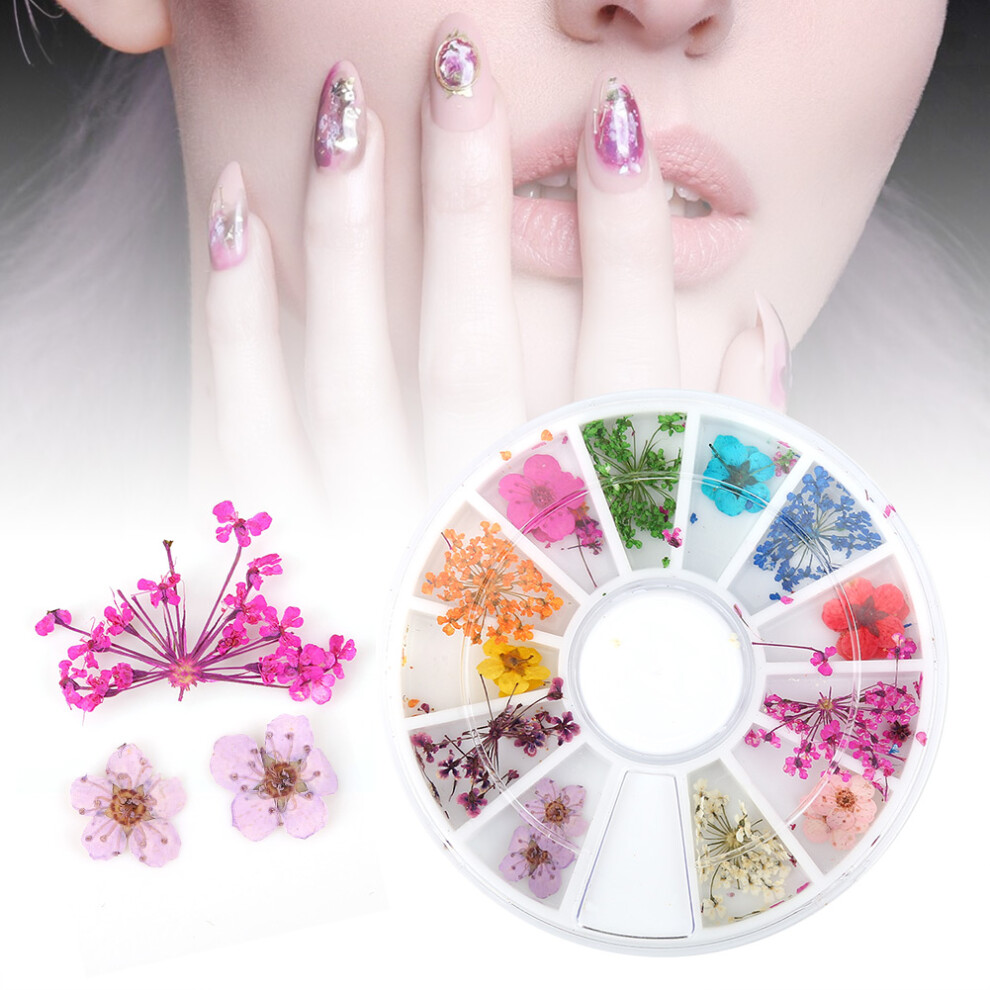 Colourful Dried Flower Nail Decor