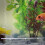 Aquarium Bubble Diffuser Plastic Air Vent Bar Transparent 12cm 4