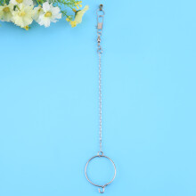 Pet Parrot Bird Foot Stand Chain Ring 5.5mm Stainless Steel Heavy Duty Toy