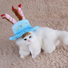 Pet Birthday Hat Blue Candles for Dogs & Small Animals Cute Costume Accessory