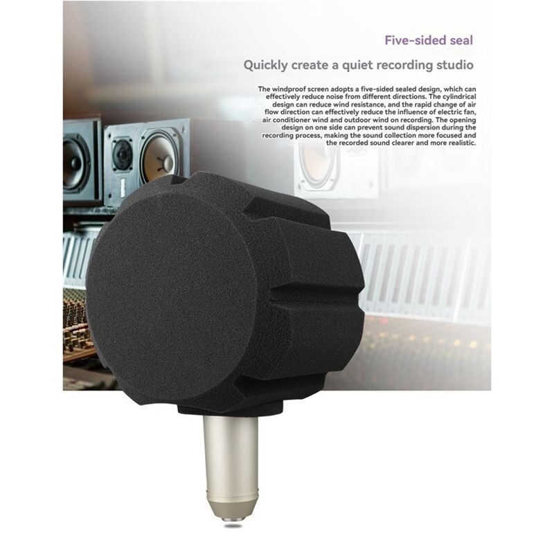 F2 Microphone Screen Acoustic Filter Sponge Wind Screen to Filter Vocal ...