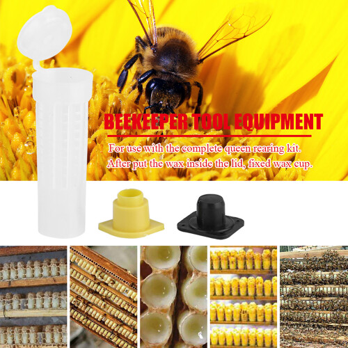 Beekeeping Queen Cages 100PCS Rearing Kits with Rollers for Apiary Beekeepers