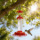 Dynamic fluid Dispenser Great Gift For Bird Photography 5