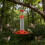 Dynamic fluid Dispenser Great Gift For Bird Photography 6