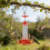360ml Sugar Water Container With Integrated pismire security And 7