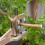 Aluminum Alloy Garden Grafting Shears, Replaceable Blades, 2cm Depth 6