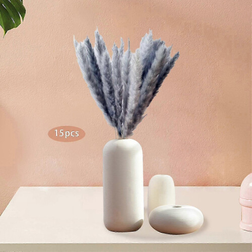 15 τμχ αποξηραμένα λουλούδια από καλάμι Pampas Grass για Βάζο Τσαμπί Σύνθεση λου 1