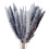 15 τμχ αποξηραμένα λουλούδια από καλάμι Pampas Grass για Βάζο Τσαμπί Σύνθεση λου 4