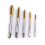 5pcs Titanium Coated HSS Tap Kit M3 M4 M5 M6 M8 - Forward Chip Ejection 1
