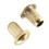 Beekeeping Accessories 700pcs Frame End Eyelets for Beehive Nest Box Aussie Use 6