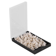 50Pcs Dental Crown Set Anterior & Molar Resin Oral Care Teeth Replacement