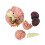 Anatomical Human Brain Model - Disassembled Medical Teaching Aid for Study 2