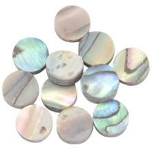 12 Stück Zealand Abalone Luthier Dots Inlay 6mm Fret Side Marker für Gitarre Ukulele Bass