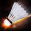 12Pcs White Badminton Shuttlecocks, Durable Foam, Fast Flight 10