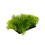 Artificial Green Water Grass for Aquarium - 12cm Plastic Decor 6