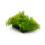 Artificial Green Water Grass for Aquarium - 12cm Plastic Decor 8