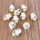 10 Pack T5 5050 1SMD LED Car Dashboard Side Indicator Light 12V 11
