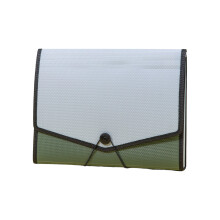 Professional File Organiser 13 Pockets Expandable-Green A4.