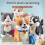 Educational Interactive Pet Toy Simulating Animal Actions-6 5