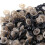 100 Pcs Black Plastic Doll Eyes 6mm Pack 11