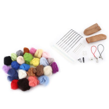Needle Felting Wool Fiber Kit 25pcs Mixed Colours with Needles for Beginners
