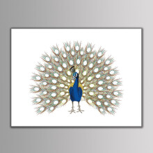 Peacock Thumbprint Art Canvas Wedding Keepsake