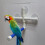 Parrot Budgie Window Perch with Suction 8