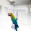 Foldable Bird Perch with Suction Cup 10