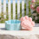 Dog Paw Shape Silicone Mold Storage Box Moulds Suitable for 4