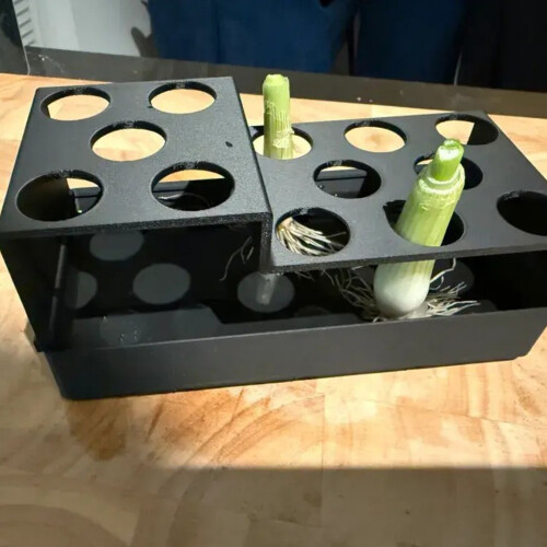 Green Onion Regrow Planter Scallion Growing Pot-Black 2