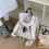 Niedlicher Rucksack mit Hasenohren, koreanischer Stil,-Grau 7