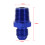 AN6 auf 3/8" NPT Adapter Blau 4
